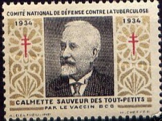 Albert Calmette picture, image, poster